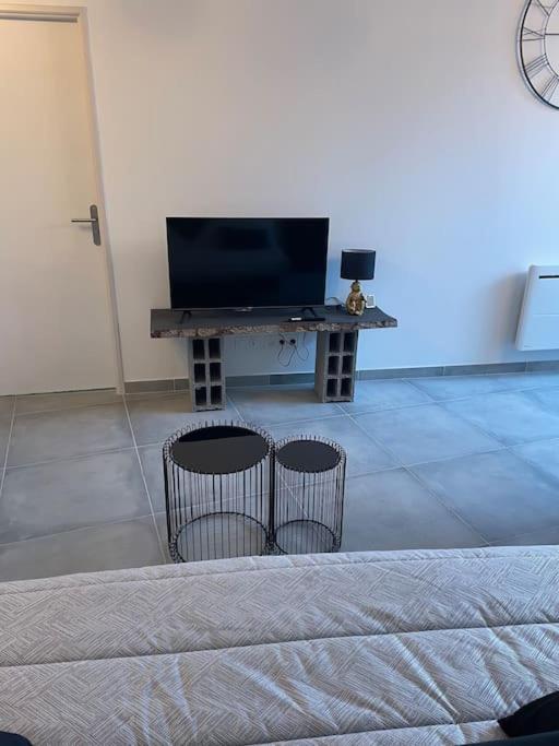 Loft Avec Terrasse Au Pied Du Chateau Amboise Dış mekan fotoğraf