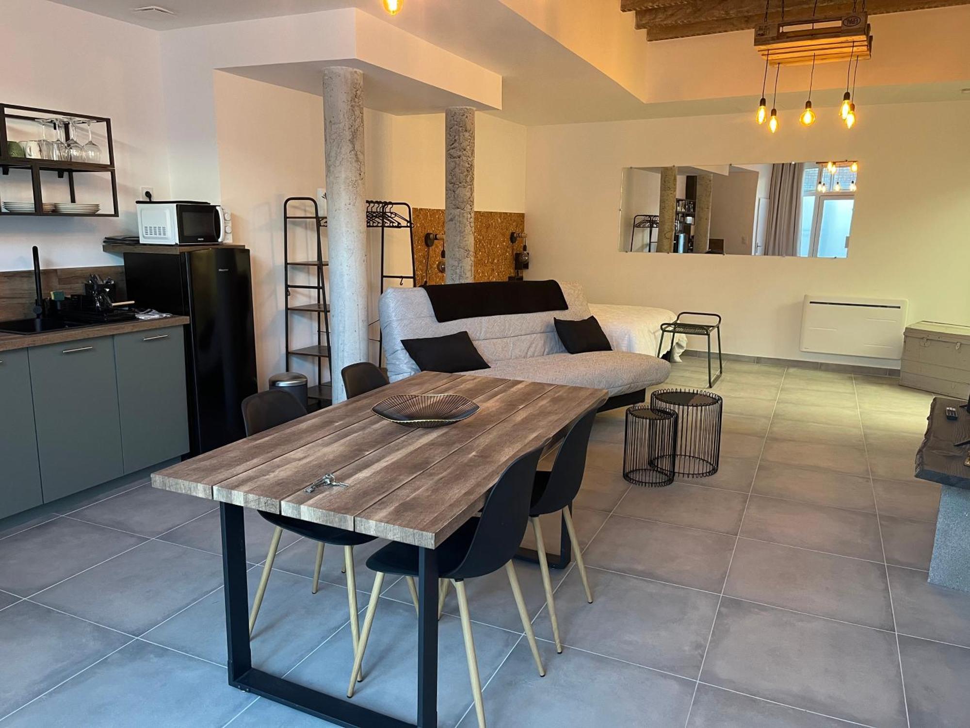 Loft Avec Terrasse Au Pied Du Chateau Amboise Dış mekan fotoğraf